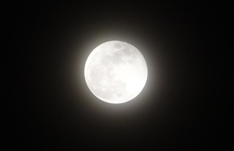 Der hell weiß leuchtende Mond vor dem schwarzen Nachthimmel ist zu sehen. Foto: Kathrin Pape.
