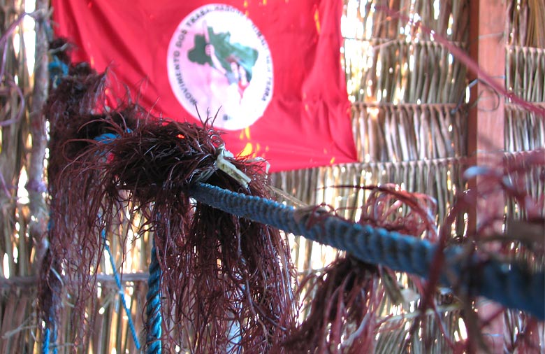 An mehreren Seilen hängen rote Algen zum Trocknen. Im Hintergrund ist eine rote Flagge oder ein Banner zu erkennen. Foto: Christina Schug