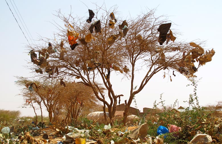 Ein vertrockneter Baum ist im Zentrum des Bildes. Auf und um ihn herum haben sich Plastiktüten und weiterer Müll gesammelt. Foto: Philipp Aepler