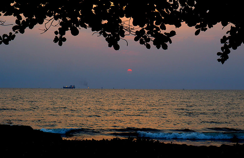 Sonnenuntergang über dem Meer, welcher das ganze Bild in blau-orange Töne hüllt. Von oben hängen die dunklen Silhouetten von Ästen und Blättern herab und am Horizont sind ganz klein die Silhouette und die Lichter einer Ölplattform zu sehen.