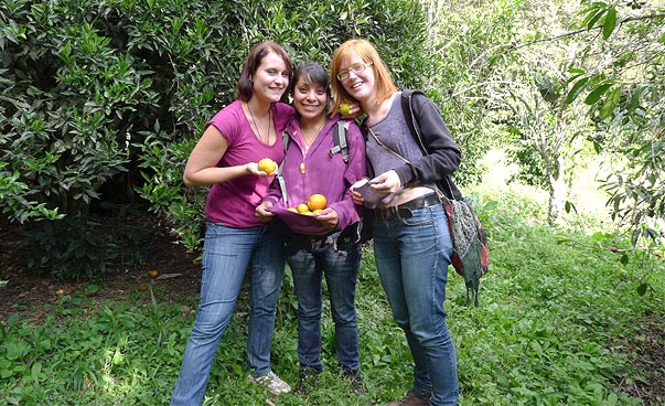 Three young persons holding oranges smile at the camera.