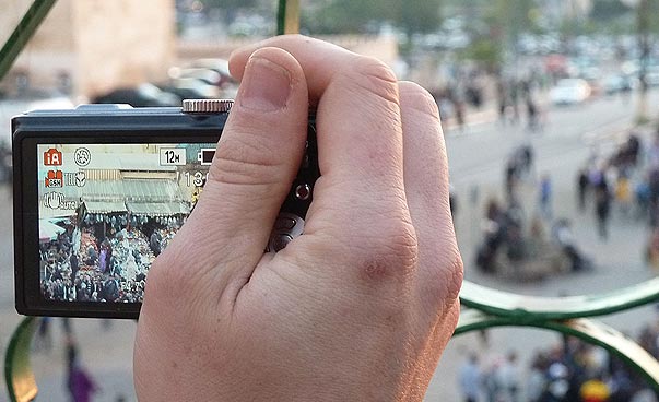 Eine Hand hält eine Digitalkamera, auf deren Bildschirm das Motiv zu sehen ist. Foto: Lena Theiler